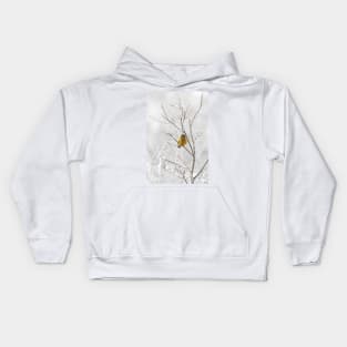 Evening Grosbeak - Algonquin Park Kids Hoodie